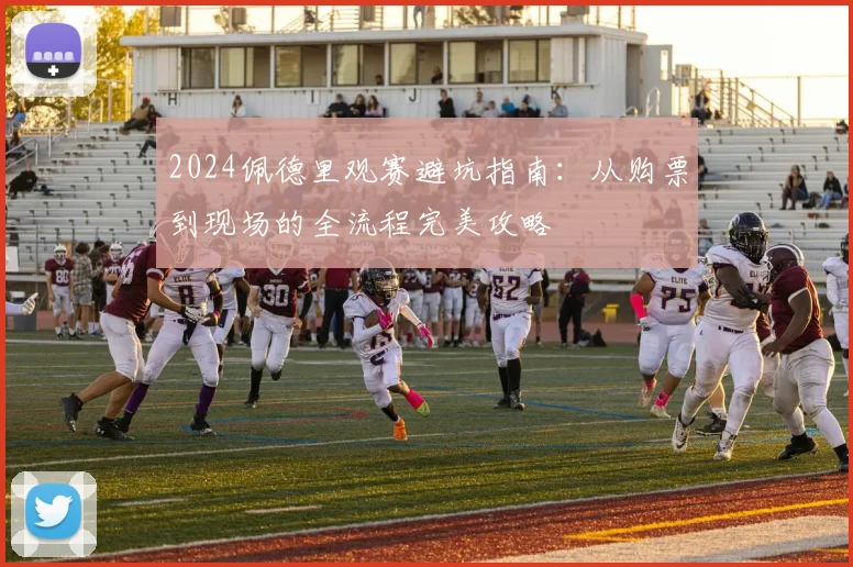 2024佩德里观赛避坑指南：从购票到现场的全流程完美攻略